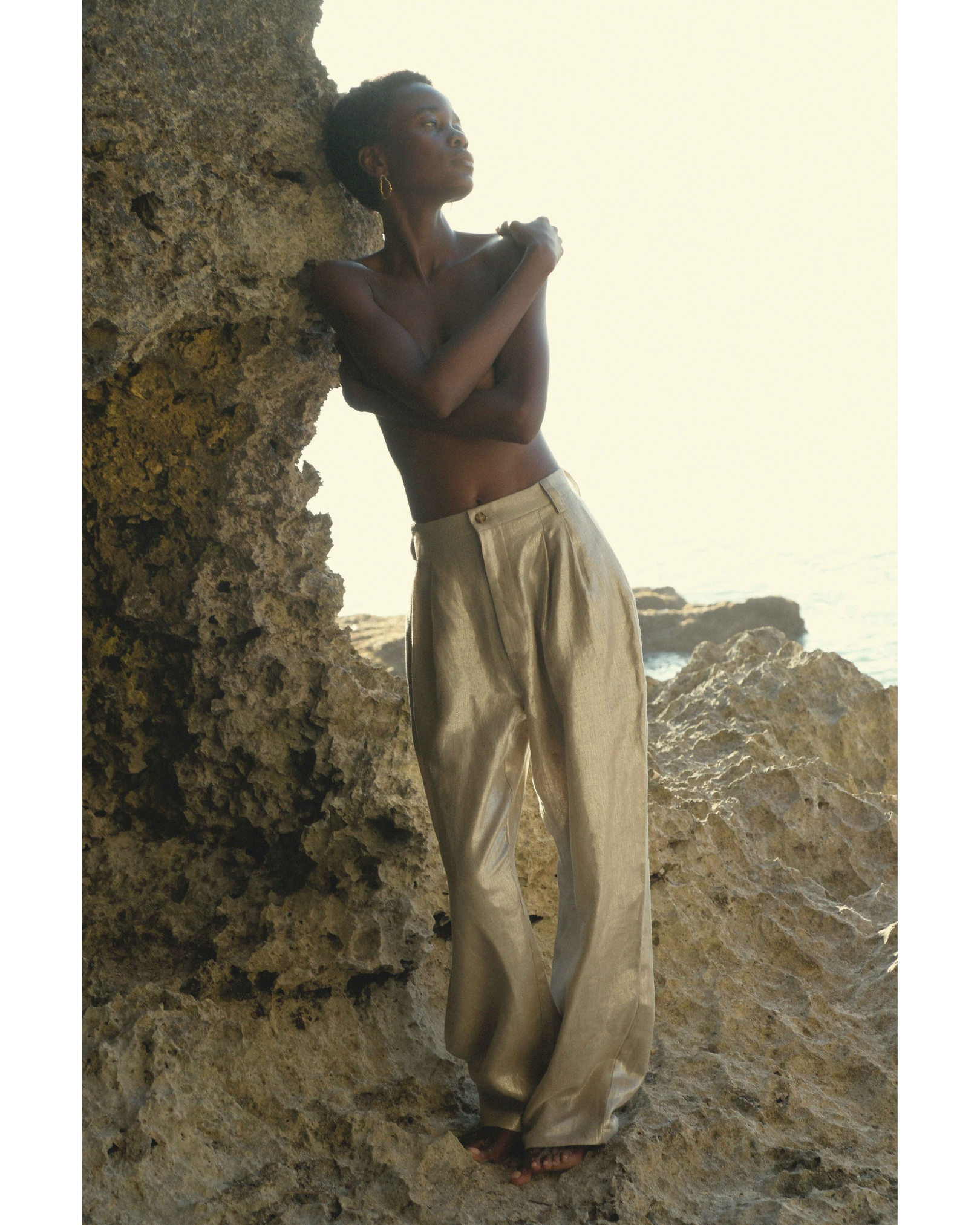 High-Waisted Pleated Trouser Pant in Champagne Shimmer Twill